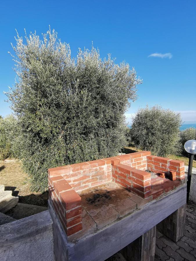 Tenuta Solleone 佩斯基奇 外观 照片